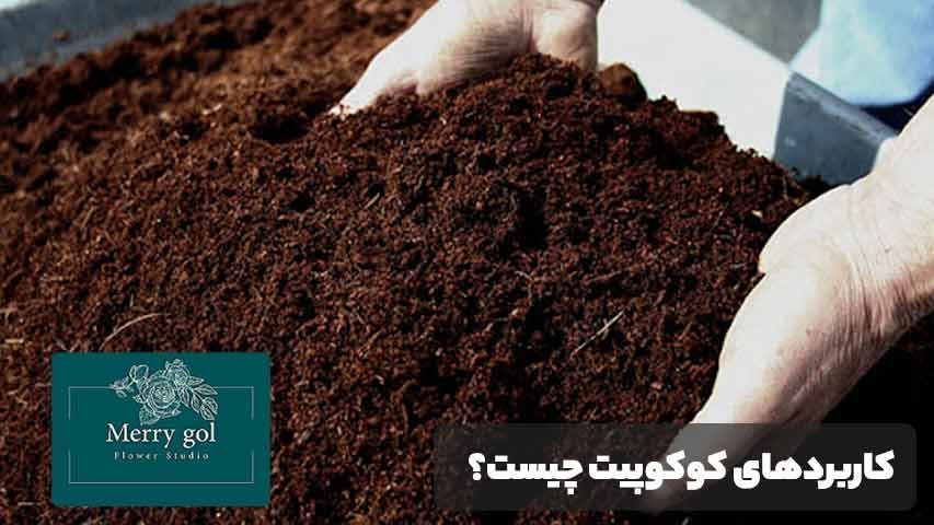 کاربردهای کوکوپیت چیست؟ موارد استفاده در کشاورزی و باغبانی
