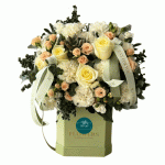 باکس گل با تم سبز روشن و گل‌های رز سفید، ترکیبی لطیف و شیک برای تبریک تولد، روز مادر یا هر مناسبت خاص است. این باکس حس آرامش، احترام و عشق را منتقل می‌کند. ارسال فوری در تهران، کرج و حومه.
