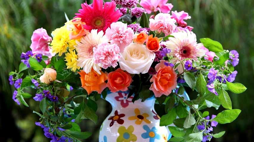 گل انرژی‌بخش