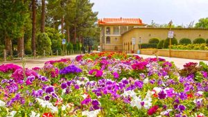 روز جهانی گل و گیاه