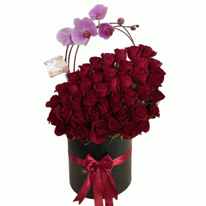 باکس عاشقانه پر از رز با تک شاخه ارکیده، هدیه‌ای لوکس و چشم‌گیر برای روز عشق، ولنتاین و ابراز علاقه. ارسال فوری در تهران و کرج همراه کارت دلخواه شما.